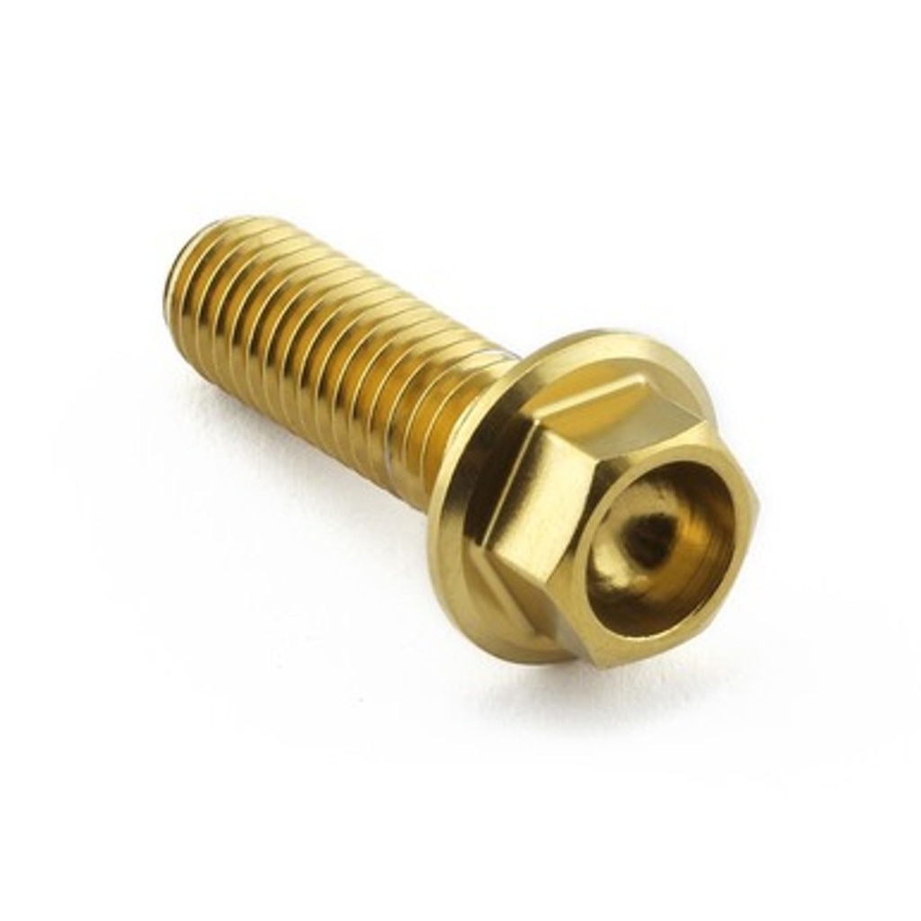 Pro-Bolt Stainless Steel Speed Sensor Mounting Bolt Kit
