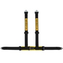 Sabelt 4 Point Caterham Harness