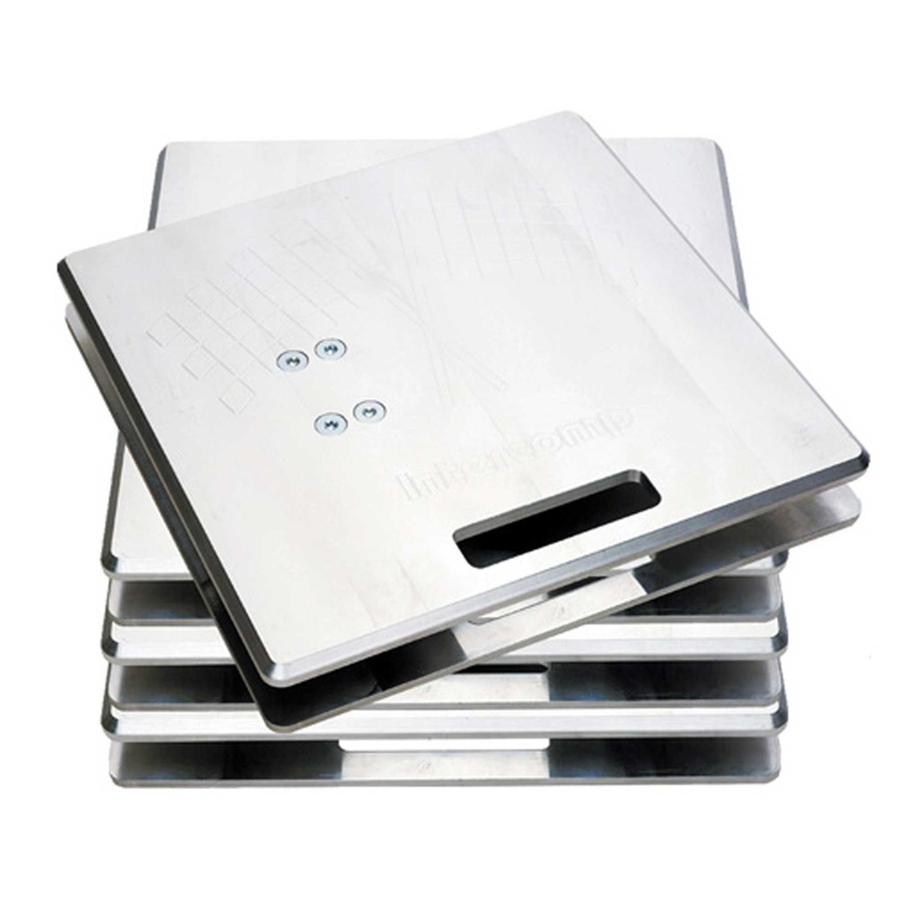 Intercomp SW777RFX Wireless Professional Scales System