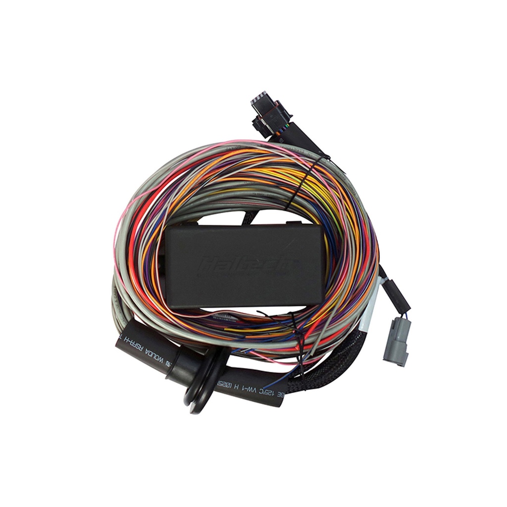 Haltech Universal Wiring Harness For Elite Model ECUs