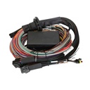 Haltech Universal Wiring Harness For Elite Model ECUs