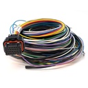 Link Engine Management ECU Wiring Loom