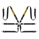 Sabelt Steel Race / Rally 2x2 6 Point Harness