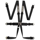 TRS Pro International Standard / Superlite / Ultralite 6 Point Saloon Harness