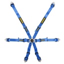 Schroth Flexi 2x2 Harness