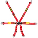 Schroth Enduro Harness