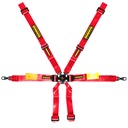 Schroth Enduro Harness