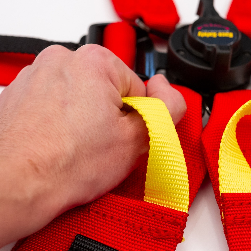 Race Safety Accessories ProLite 6 Point Endurance Harness