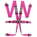 TRS Pro Standard / Superlite / Ultralite 6 Point Saloon Harness