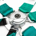 Takata Race 2x2 6 Point Harness