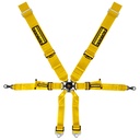 Schroth Porsche 3x2 Harness