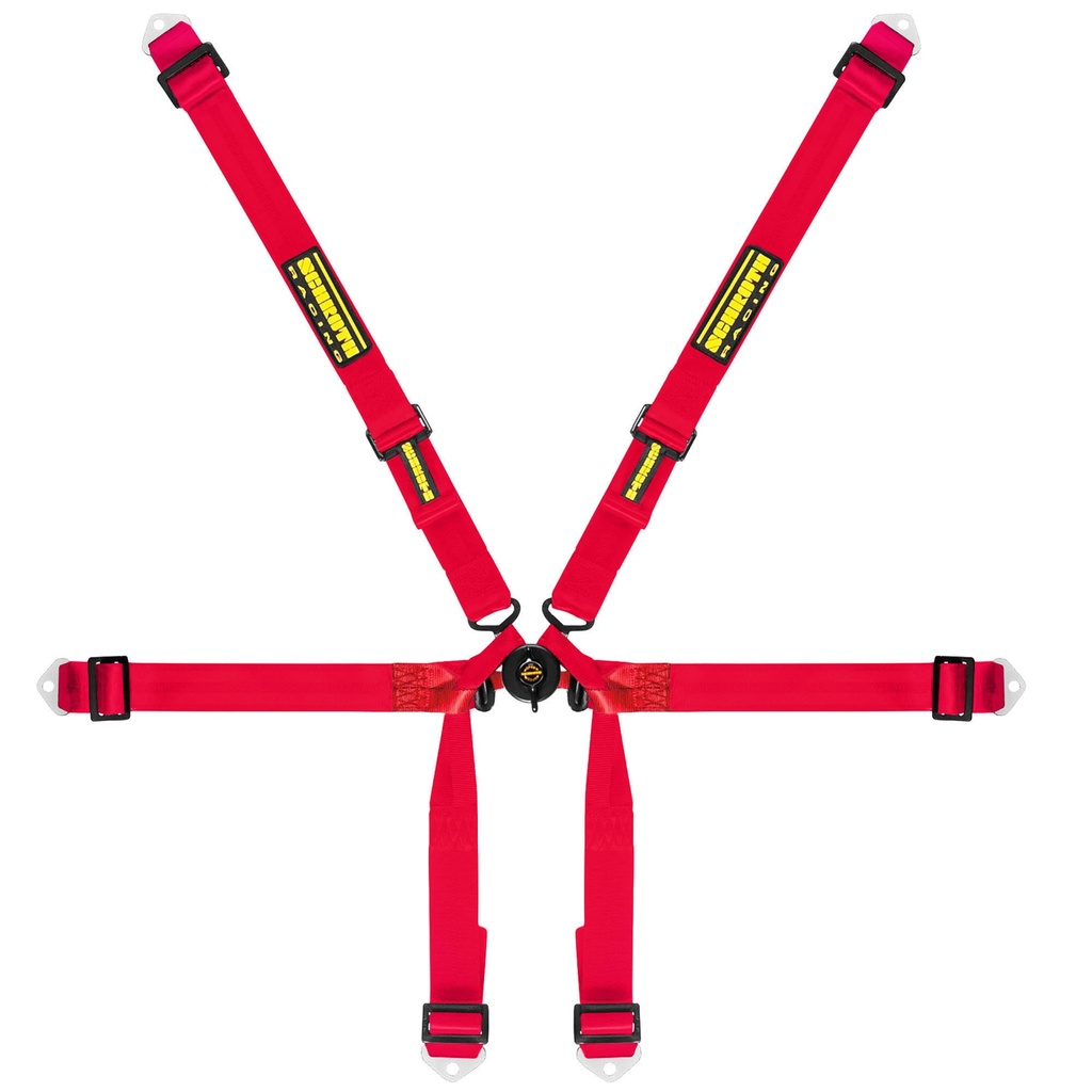 Schroth Formula 2x2 Harness