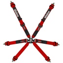 Lifeline Copse 2x2 6 Point Harness