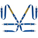 Sabelt Silver Saloon / Rally 6 Point Harness