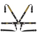 Sabelt Silver Formula 6 Point Harness