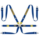 Sabelt Silver Endurance 6 Point Harness