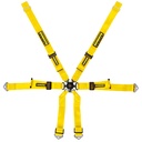 Schroth Porsche 2x2 Harness