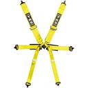 TRS Pro Standard / Superlite 6 Point Single Seater