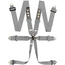 TRS Magnum Standard / Superlite / Ultralite 6 Point Saloon Harness