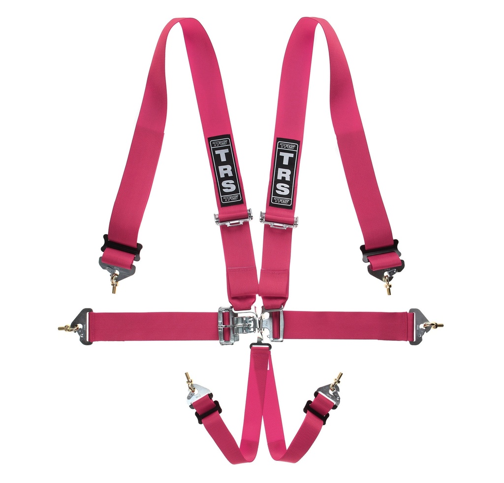 TRS Nascar Standard / Superlite 6 Point Harness