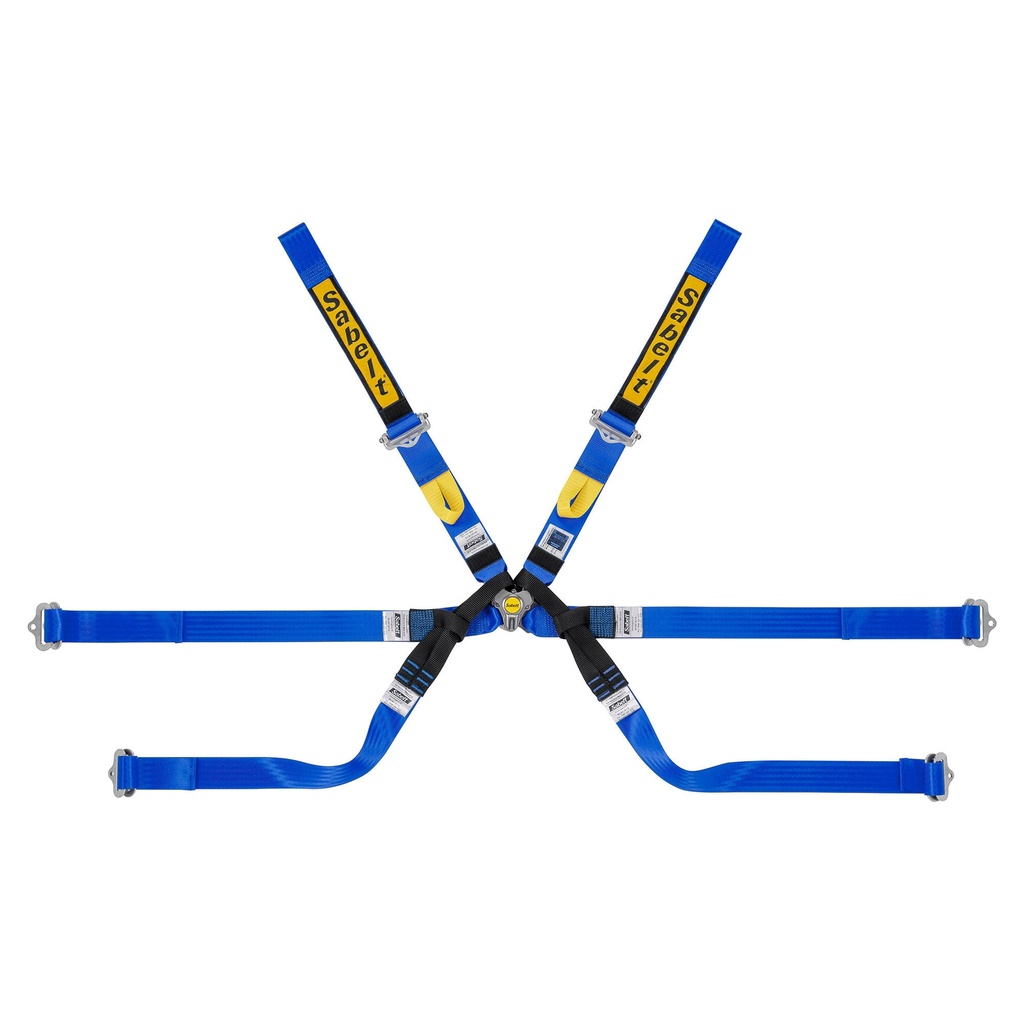 Sabelt Gold Super Formula 6 Point Harness