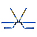 Sabelt Gold Super Formula 6 Point Harness