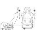 Recaro Podium CF Carbon Fibre Seat