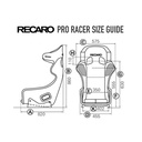 Recaro Pro Racer SPA Carbon/Kevlar Seat