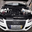 MST Performance Induction Kit