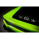Eventuri Carbon Fibre Intake System