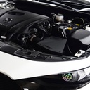 MST Performance Induction Kit