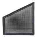 RamAir Performance Replacement Element