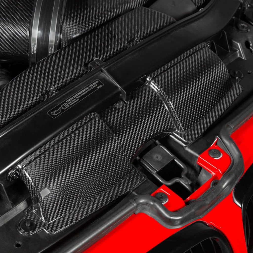 Eventuri Carbon Fibre Intake Duct Set