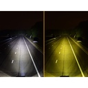 Lazer Lamps Amber Lens For Utility-25 Lamp