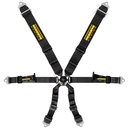 Schroth Profi 3x2 Harness