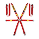 Sabelt Silver Endurance 6 Point Harness