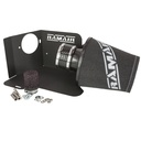 RamAir Performance Induction Kit