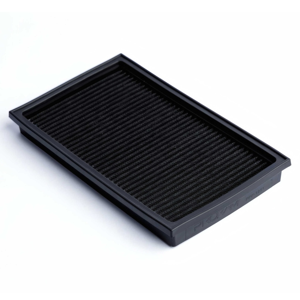 [RAMPPF-1251] RamAir PRORAM Performance Replacement Element