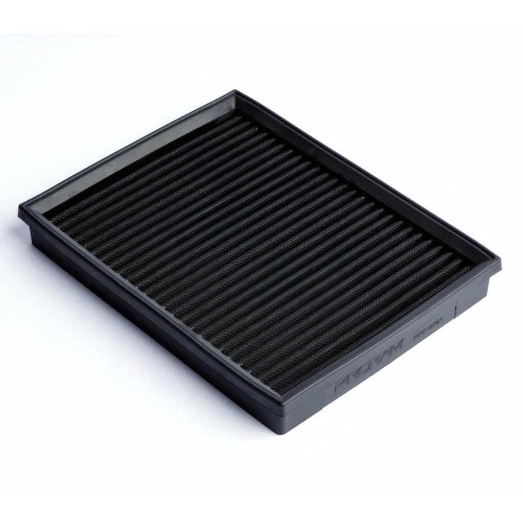 [RAMPPF-9791] RamAir PRORAM Performance Replacement Element