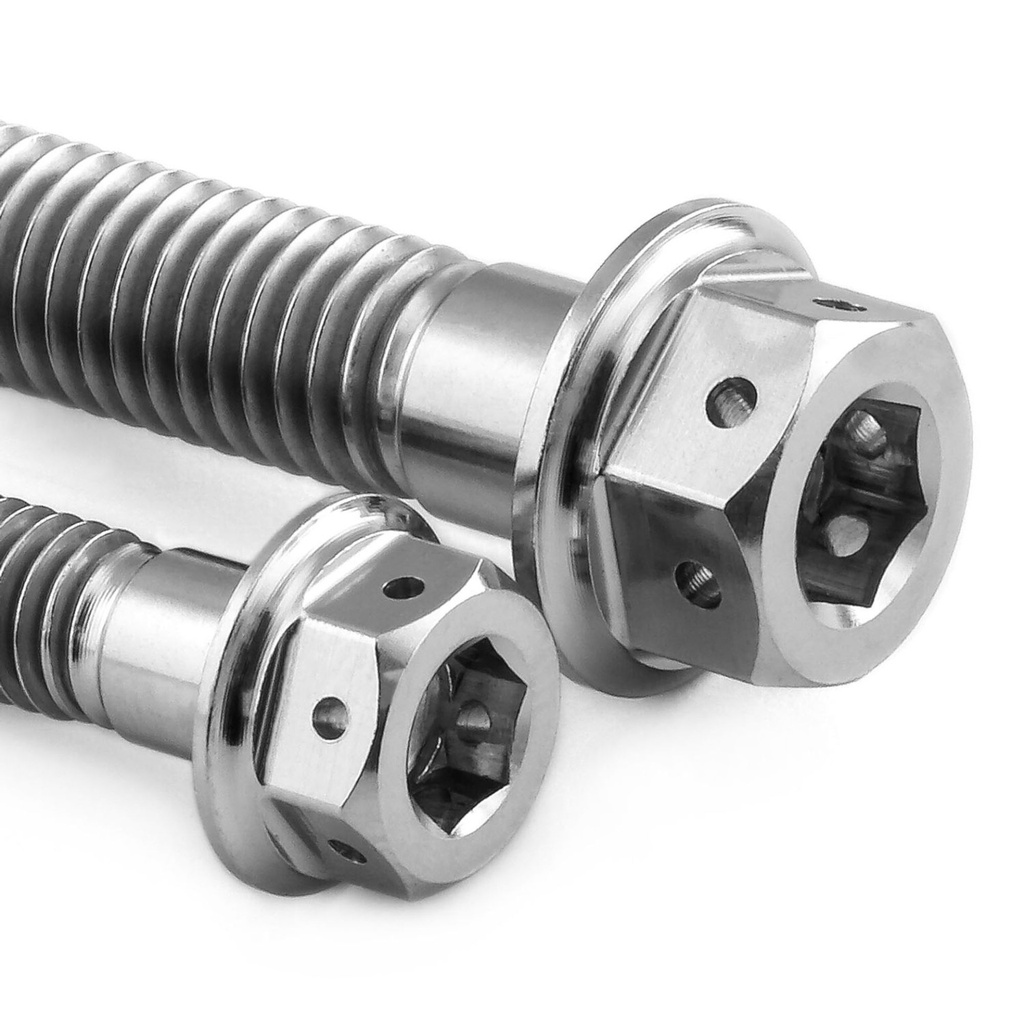 [AWFTICHAINGUARD40DD] Pro-Bolt Titanium Chain Guard & Rail Bolt Kit