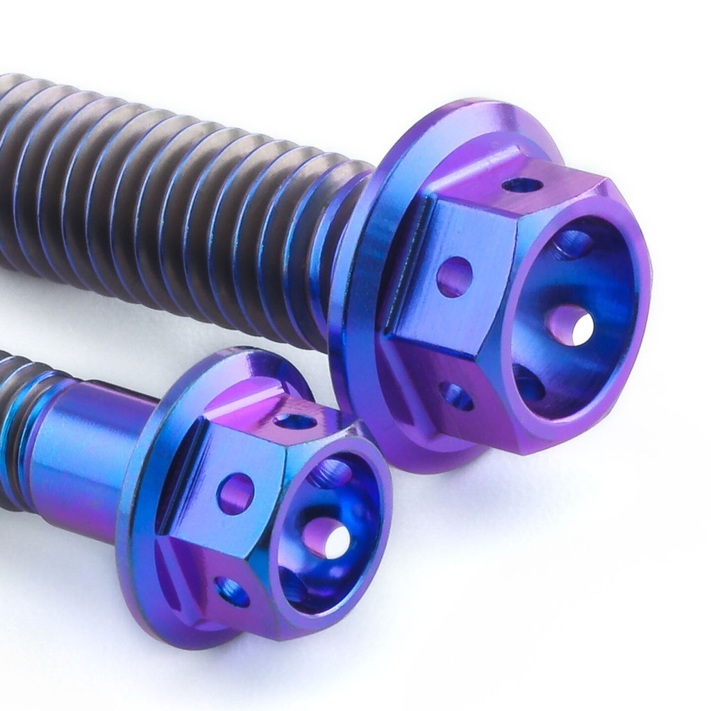 [AWFCHAINHUG115TIRP] Pro-Bolt Titanium Chain Guard & Hugger Bolt Kit
