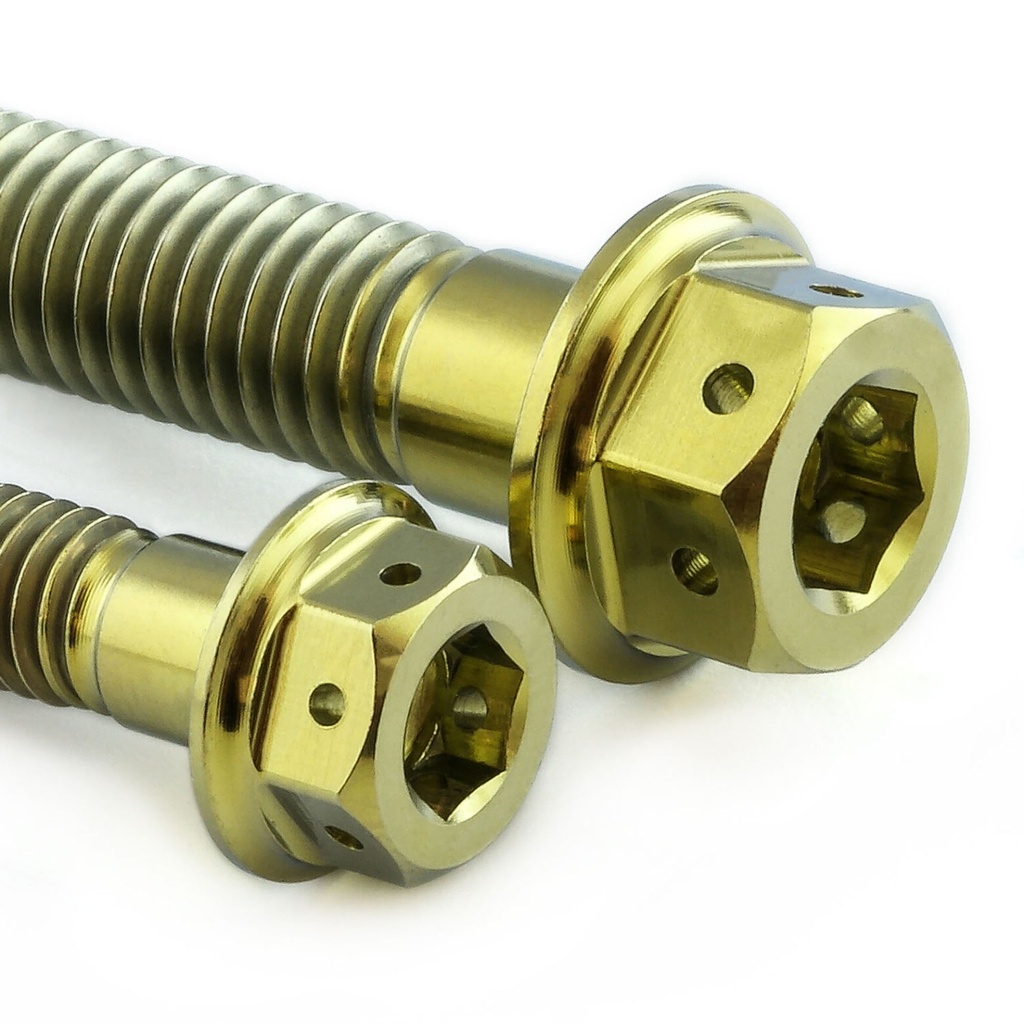 Pro-Bolt Titanium Chain Guard & Rail Bolt Kit