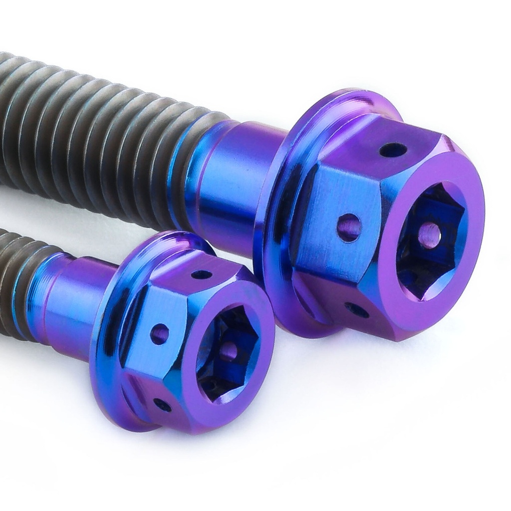 [AWFTICHAINGUARD40DDP] Pro-Bolt Titanium Chain Guard & Rail Bolt Kit