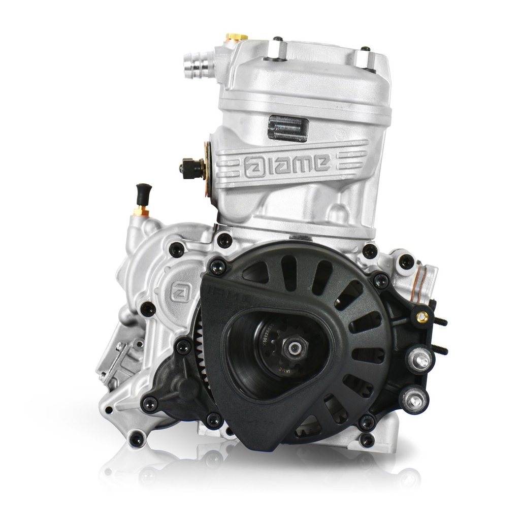 [ENX30] IAME X30 ENGINE