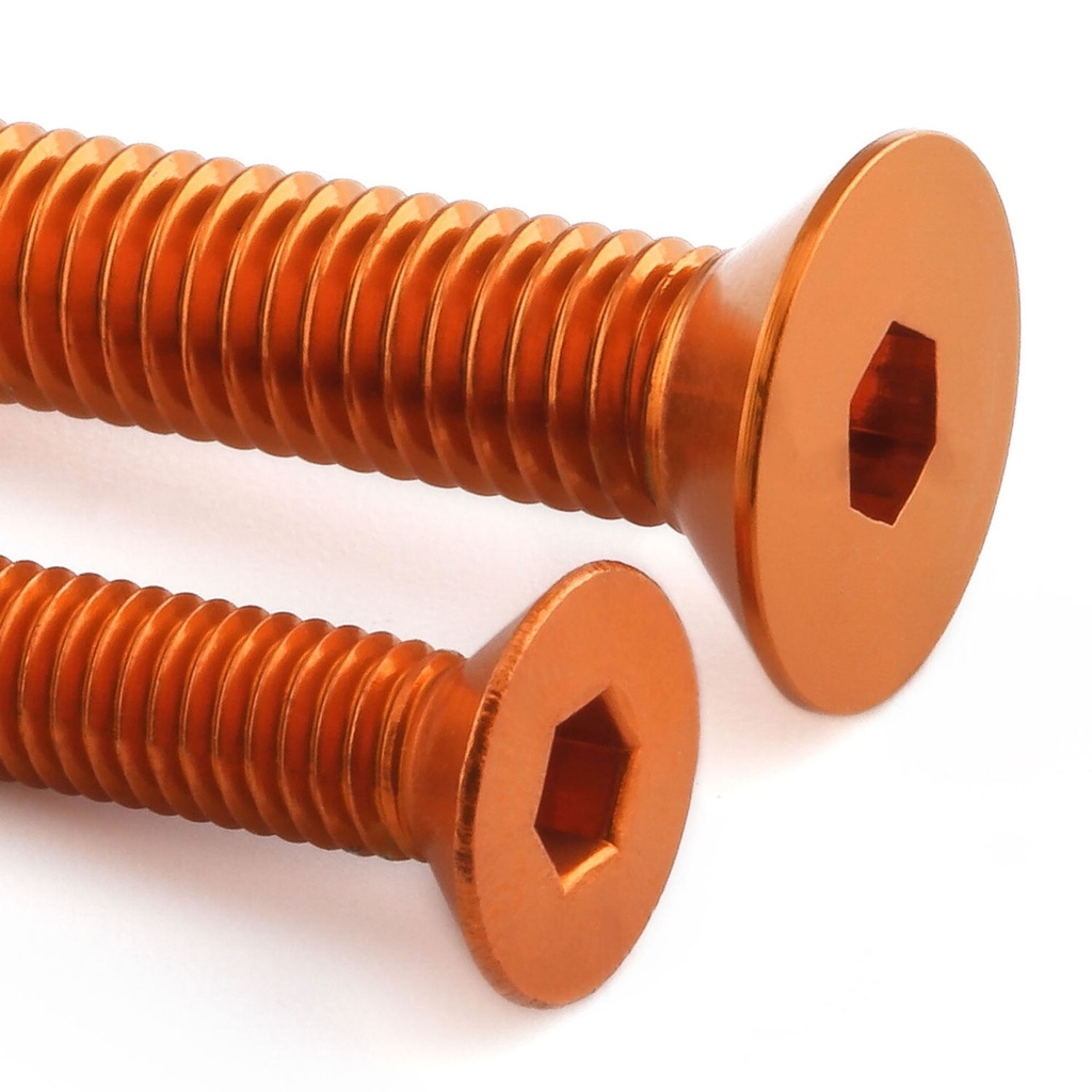 Pro-Bolt Aluminium Fuel Tank Cap Bolt Kit