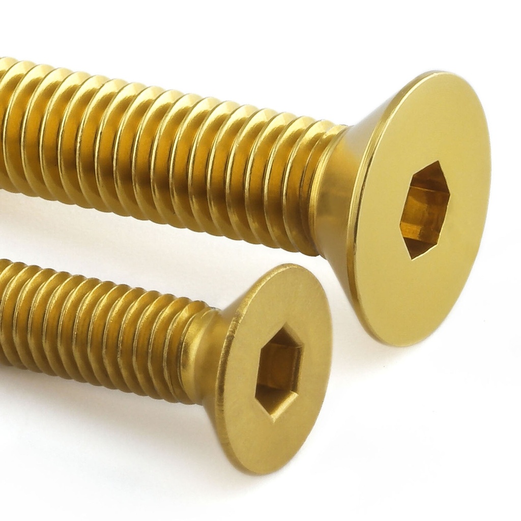 Pro-Bolt Aluminium Fuel Tank Cap Bolt Kit