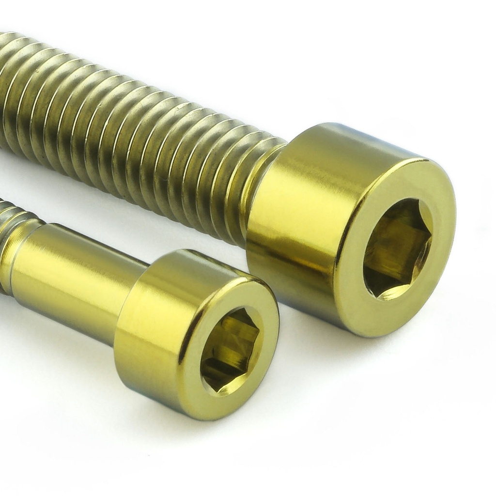 Pro-Bolt Titanium Fuel Tank Cap Bolt Kit