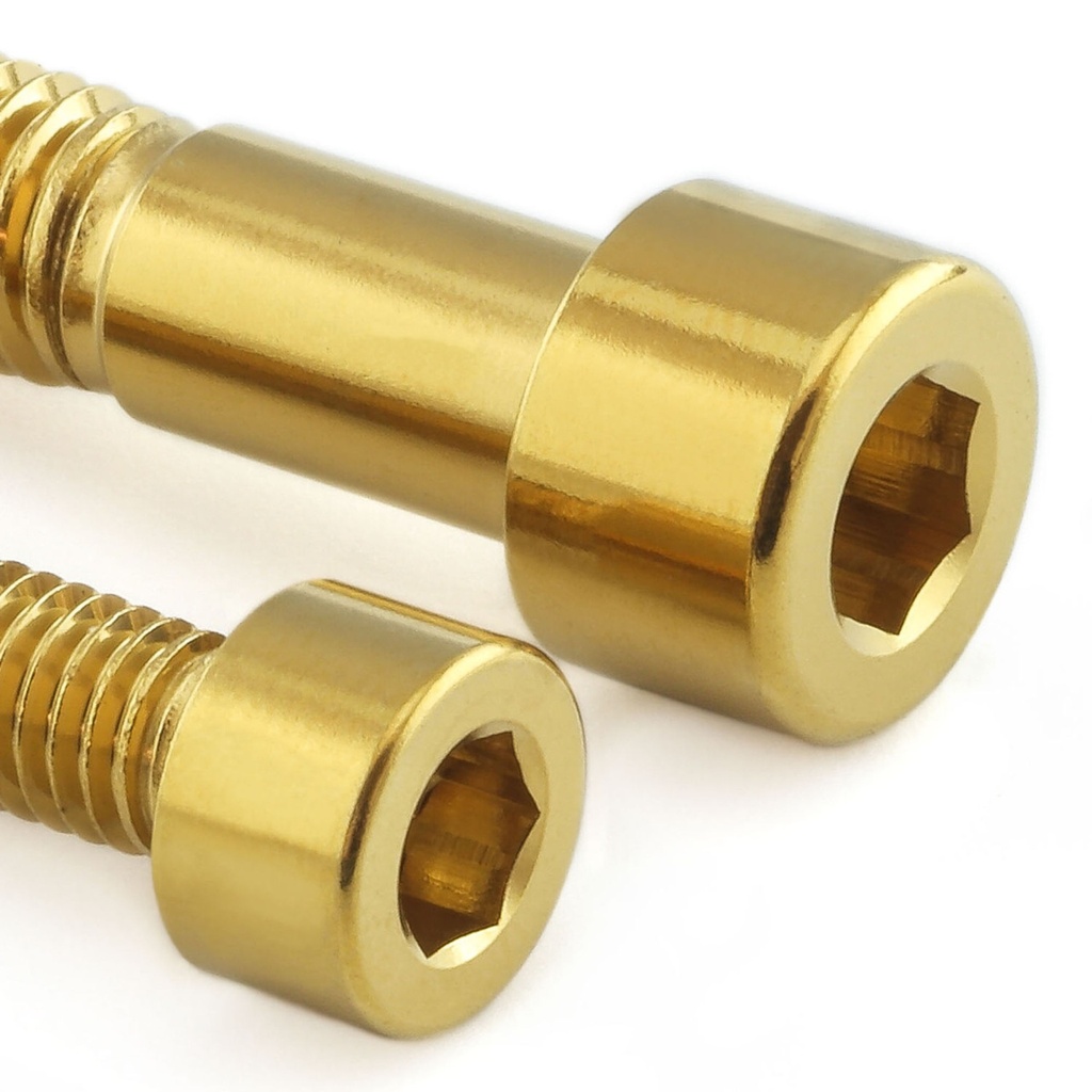 [AWFTKTM20SSG] Pro-Bolt Stainless Steel Fuel Tank Cap Bolt Kit