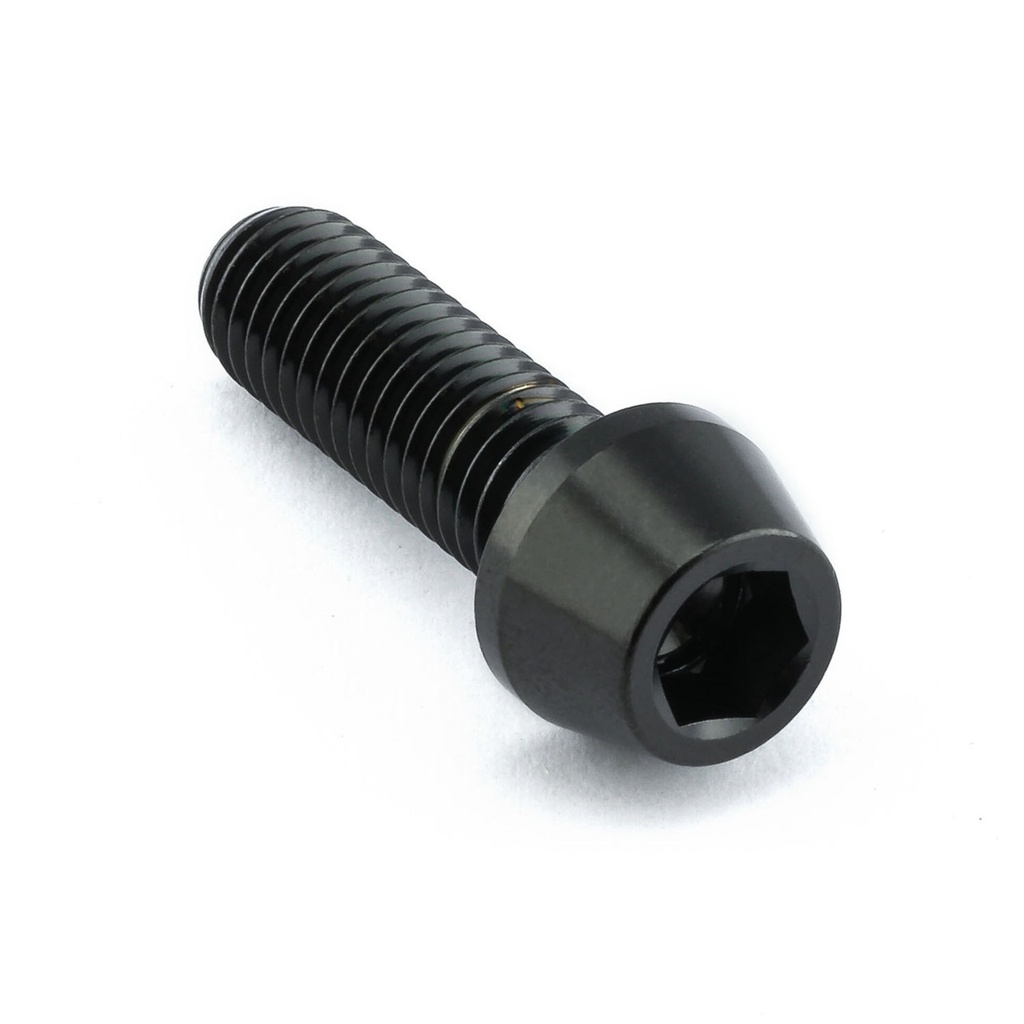 Pro-Bolt Stainless Steel Grab Rail Mount Bolt Kit