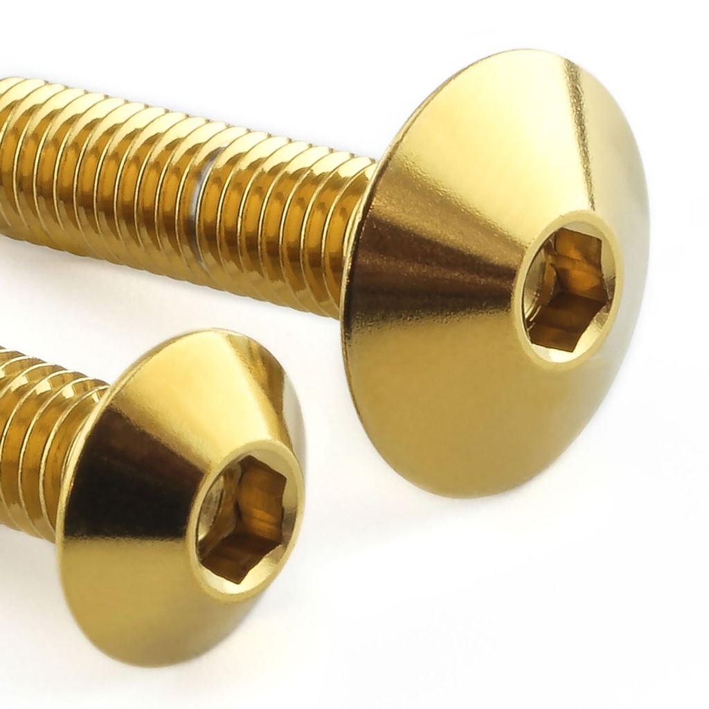 Pro-Bolt Stainless Steel Headlight Mount Bolt Kit